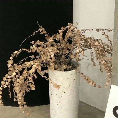 Furry绘画技巧合集FurryQQ群